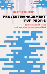 Projektmanagement Für Profis
