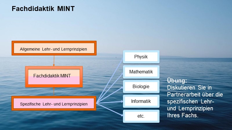 Fachdidaktik MINT: