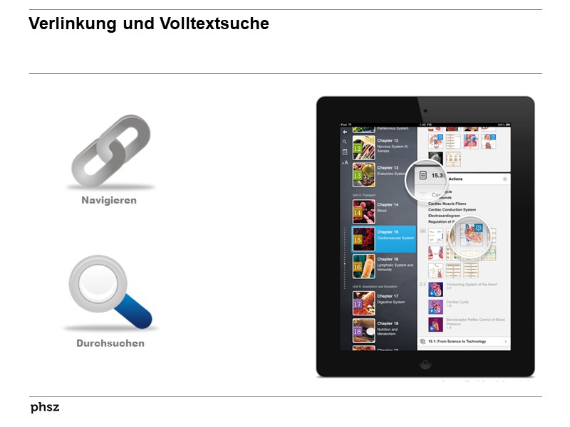 Verlinkung und Volltextsuche