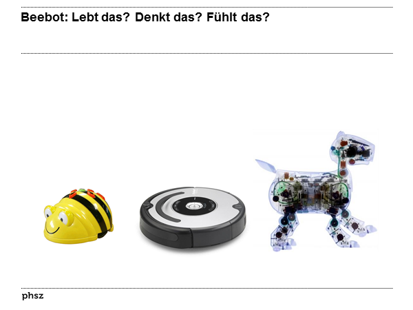 Beebot: Lebt das? Denkt das? Fühlt das?