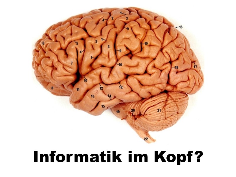 Informatik im Kopf?