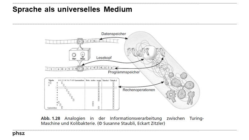 Sprache als universelles Medium