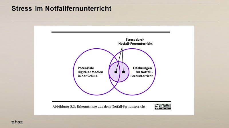 Stress im Notfallfernunterricht