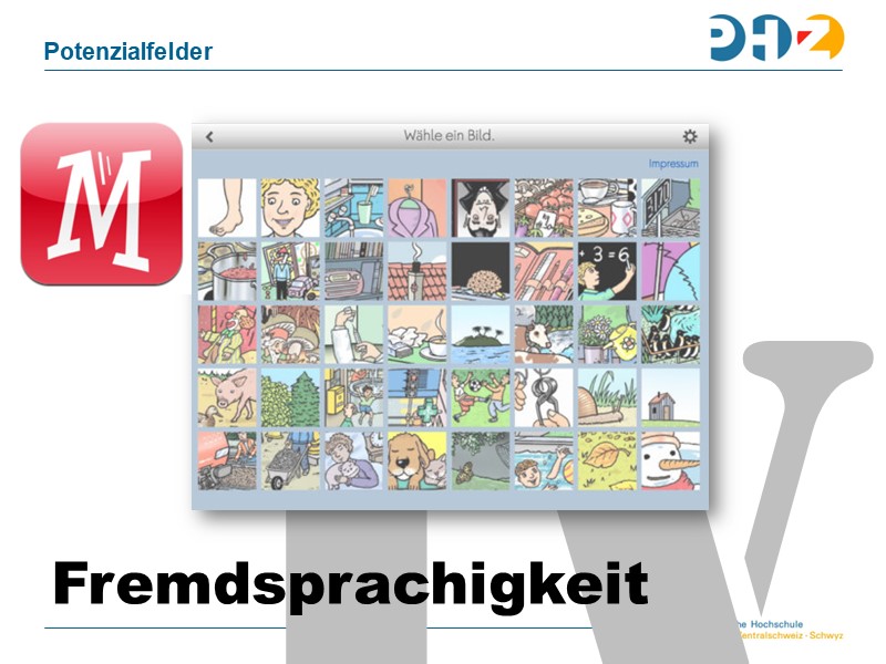 IV Fremdsprachigkeit